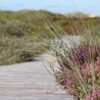 Dette garn er et nyt garn med en sammensætning af merino og bionedbrydeligt nylon specielt velegnet til strømper. Dette garn indeholder 85% merino SW, 15 % BIO nylon, et blødt og behageligt garn Løbelængde er 430 m  pr 100 g, som hvert fed vejer. Vejledende pinde: 2.5 - 4 mm Vejledende strikkefasthed: 28-36 masker pr 10 cm Jeg håndfarver alle fed i små partier, husk derfor at bestille fed nok til dit projekt, så du får nøjagtigt samme udtryk i hele arbejdet. Garnet passer til perfekt som strømpegarn Materiale: 85% superwash merino, 15 % BIO nylon Vejledende pinde: 2,5-4 mm Strikkefasthed: 28-36 masker / 10 cm Løbelængde: 430 meter / 100 g Vaskeanvisning: håndvask 30 grader/uldvask i maskine- tørres liggende Vær opmærksom på, at farven på billedet kan afvige en smule fra virkeligheden, da det afhænger af skærmens farvekalibrering. Der kan således også være nuanceforskelle fra skærm til skærm. Håndfarvet garn er et spændende og interessant materiale at arbejde med.  Alle fed er farvet i hånden og helt unikke.Derfor vil der opleves forskelle i de enkelte fed.Når du strikker med håndfarvet garn, kan du med fordel strikke med to forskellige nøgler på samme tid. Strik eks. 2-5 omgange med hvert nøgle, hvormed du  